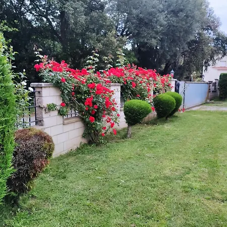 Rossa Casa de hóspedes Palol d'Onyar